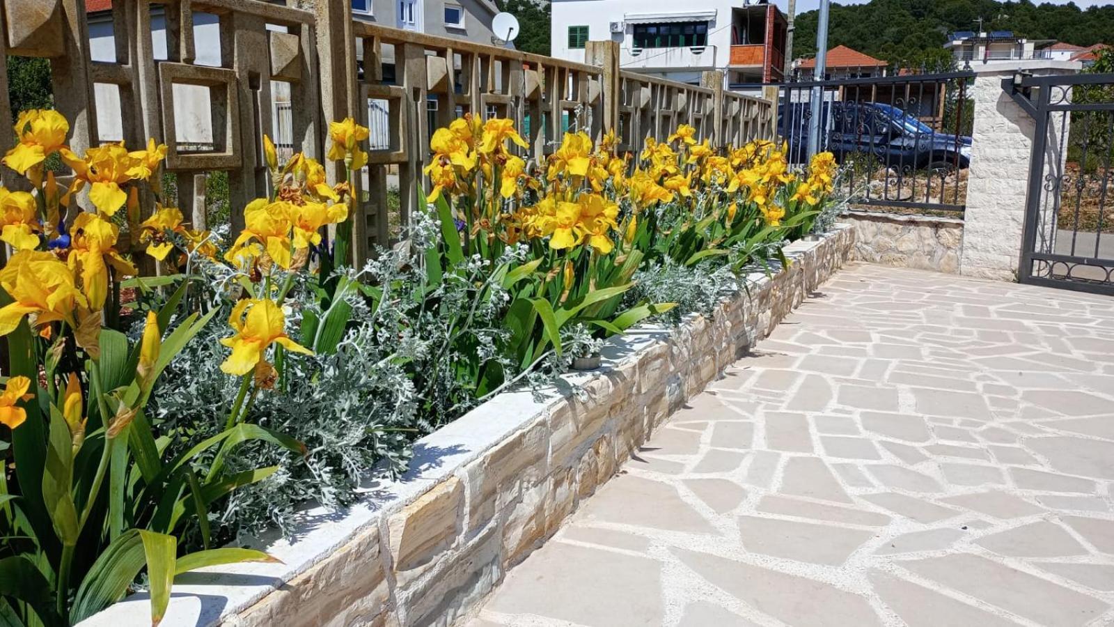 Villa Ines เยเซรา ภายนอก รูปภาพ